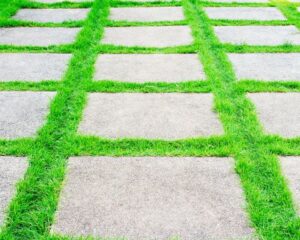 A city sidewalk featuring concrete slabs and a vibrant strip of green grass down the center.