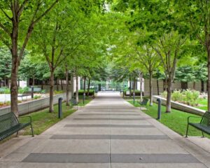 A concrete walkway lined with benches and trees in a city park.