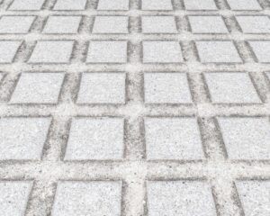 A close-up of a city concrete floor.