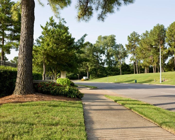 A city sidewalk surrounded by trees and grass.