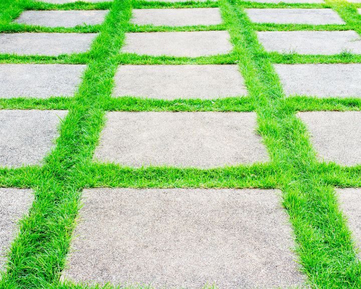 A city sidewalk featuring concrete slabs and a vibrant strip of green grass down the center.