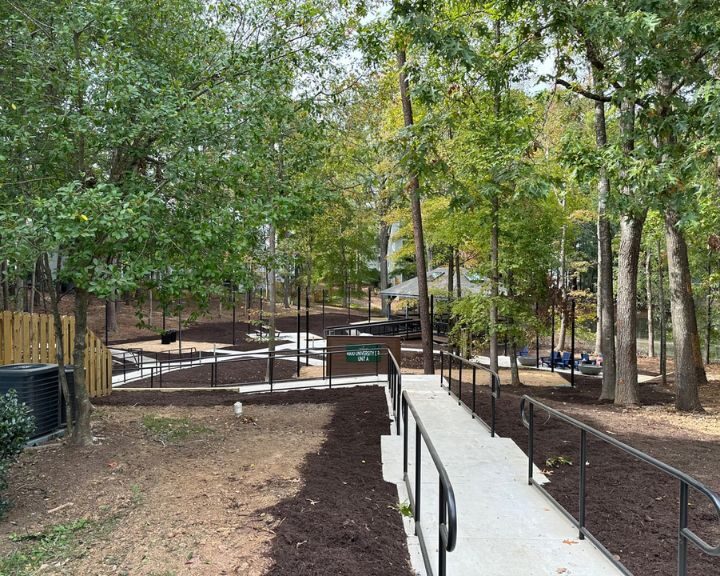 Accessible path in park surrounded by trees